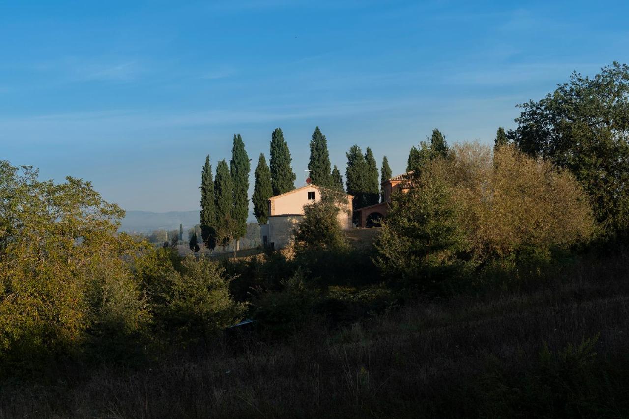 Podere Abbazia B&B シナルンガ エクステリア 写真
