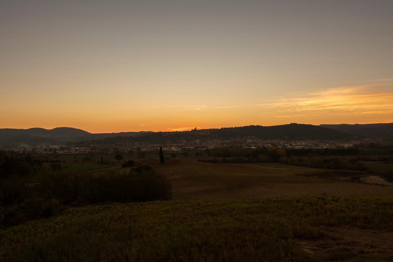 Podere Abbazia B&B シナルンガ エクステリア 写真